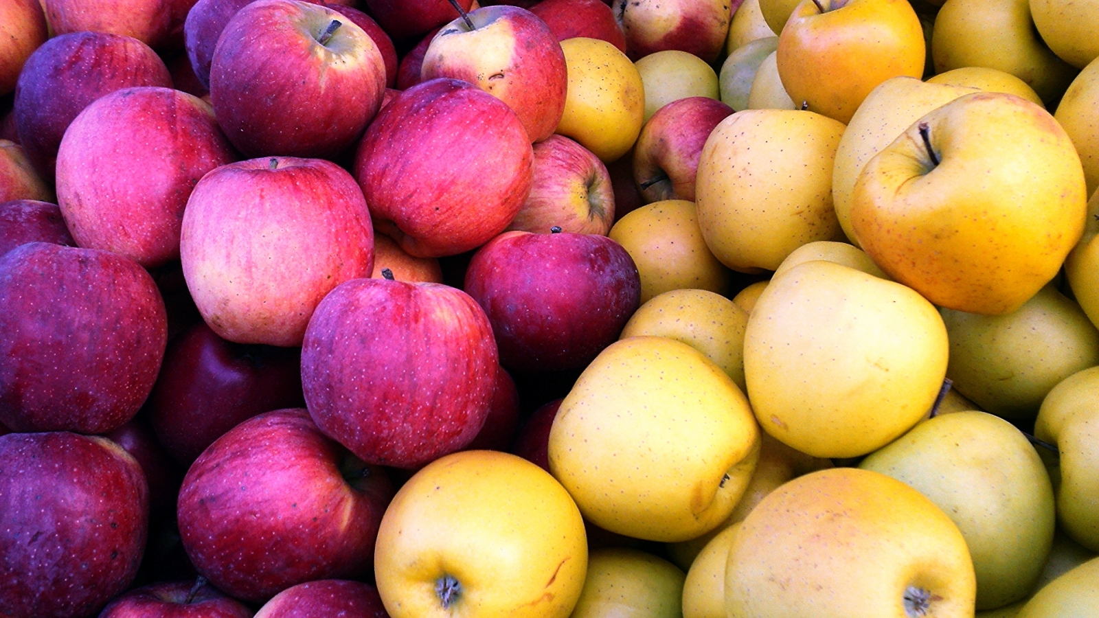 Are apples digested differently from sweets?