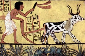 公元前1200年，Sennedjem墓室中描绘的耕田农民。