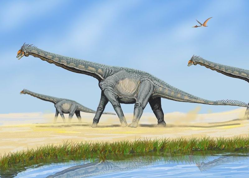 蜥脚类恐龙阿拉莫龙