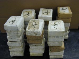 美国联邦缉毒局没收的可卡因毒品包图片。