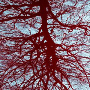 Blood tree