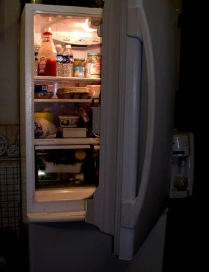 一个冰箱