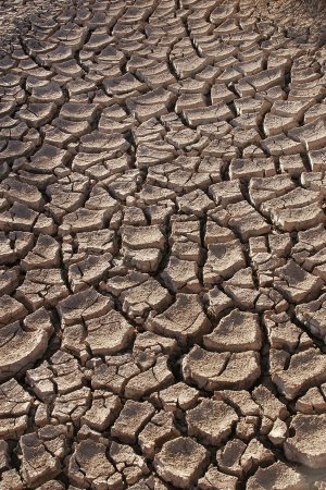 干旱——墨西哥索诺拉沙漠