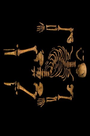 The Skeleton of King Richard III