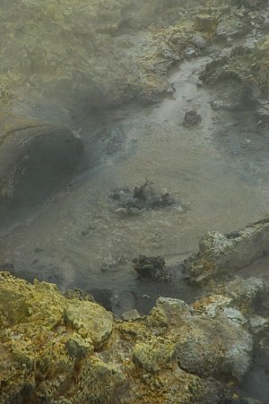 新西兰地狱门的泥池