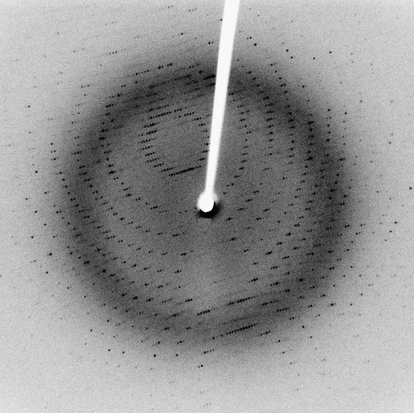 X-ray diffraction pattern of crystallized 3Clpro, a SARS protease. (2.1 Angstrom resolution).