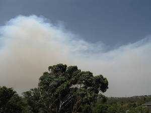 墨尔本东部的森林大火烟雾