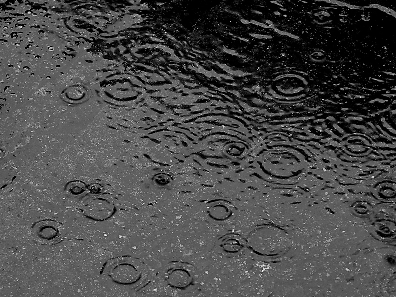 Raindrops falling on water