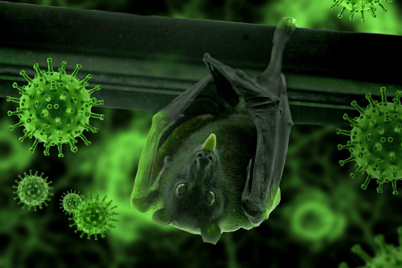 一个bat hanging from a wooden beam surrounded by green coronavirus particles.