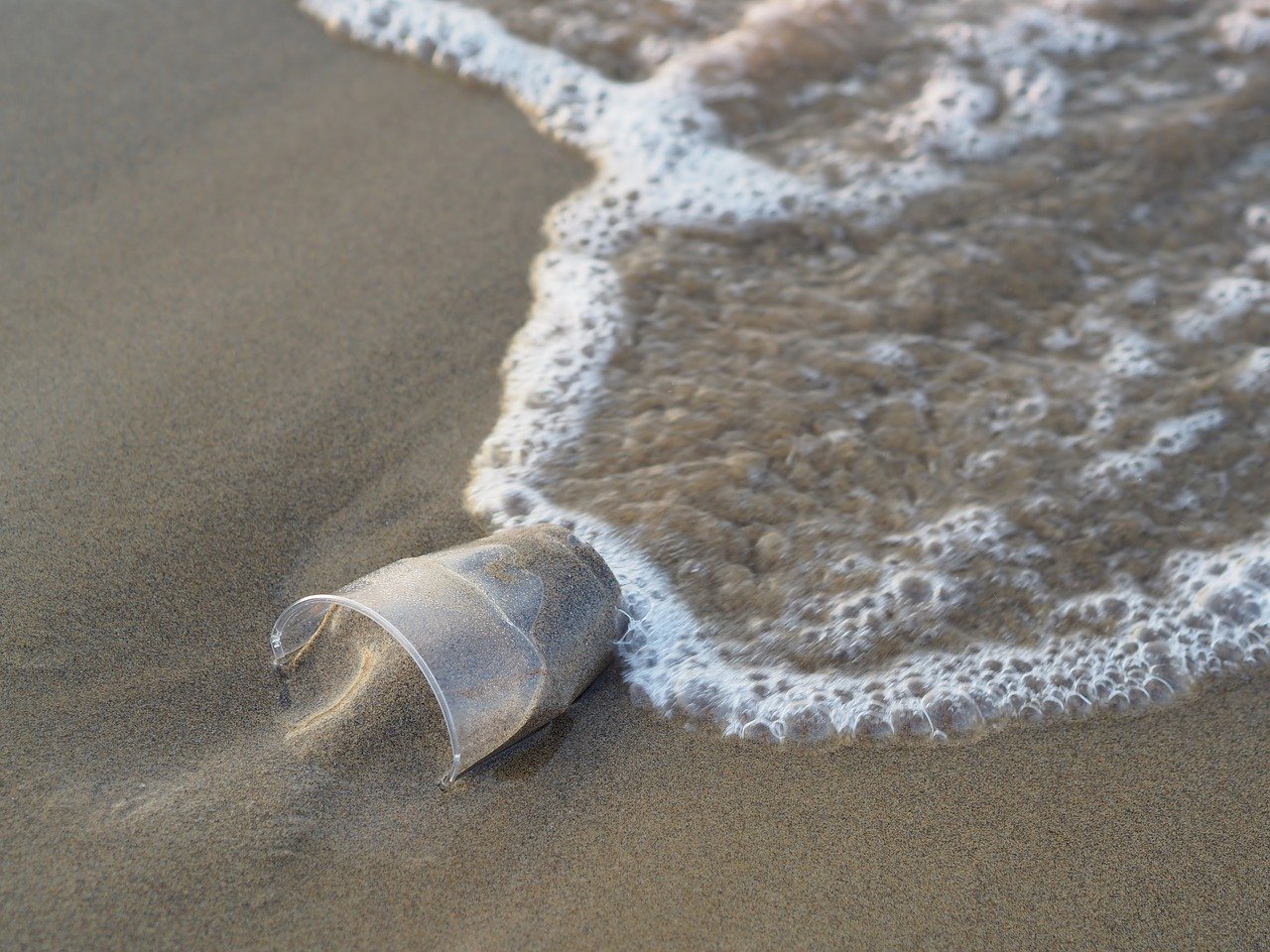 a photo of a plastic cup in the surf