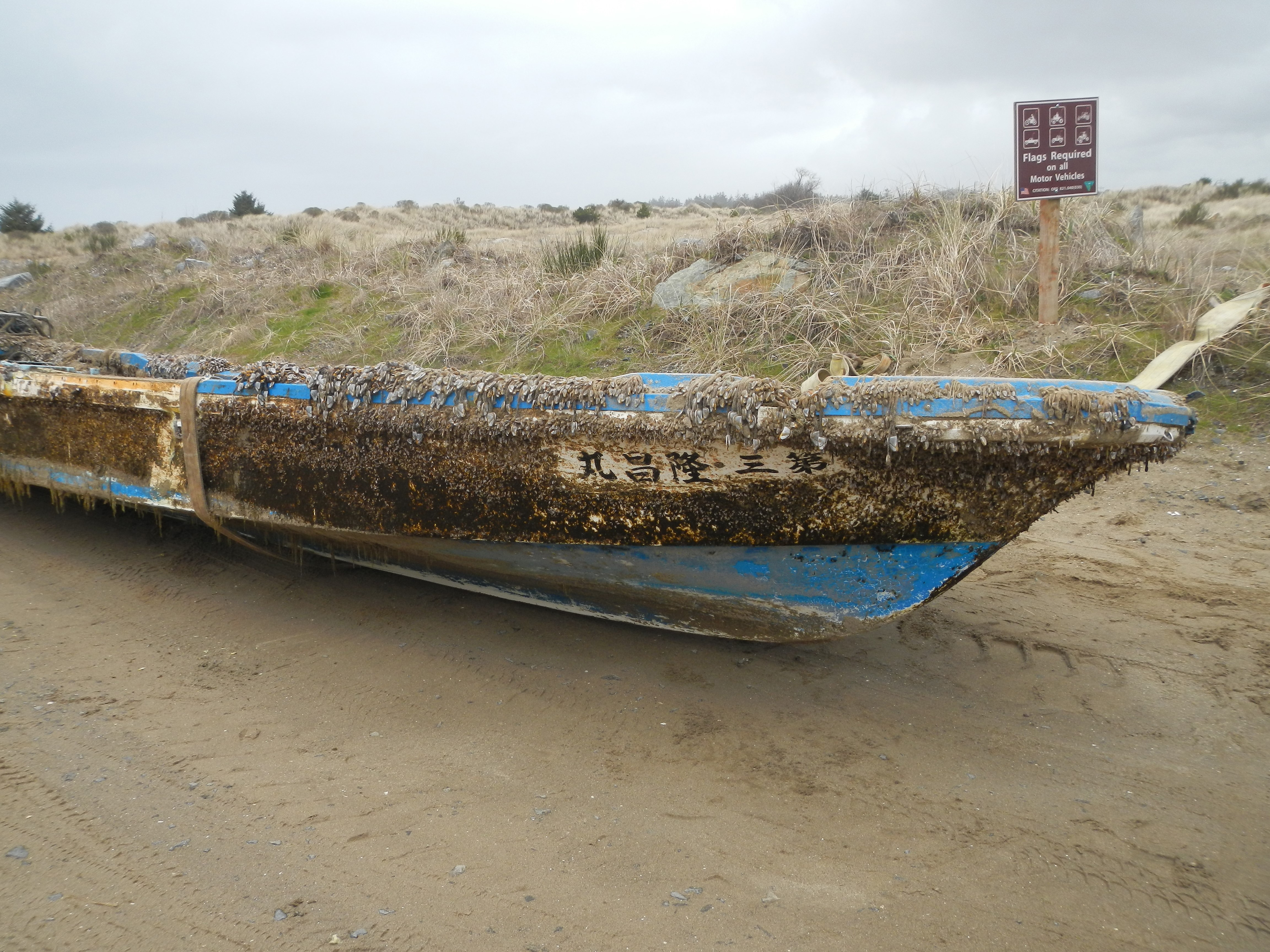 Japanese boat swamped by the 2011 tsunami washes up in America