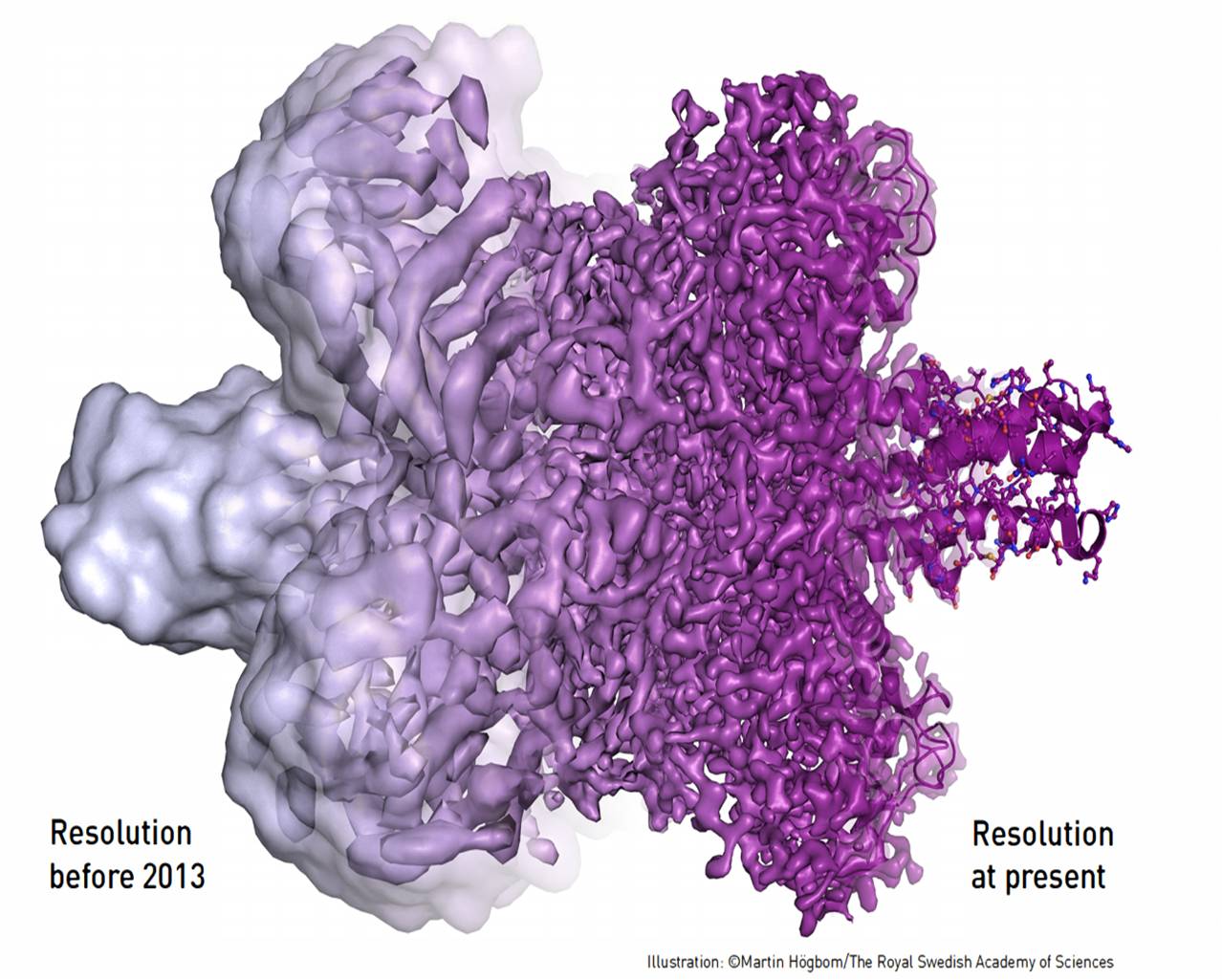 Imaging Biomolecular movement