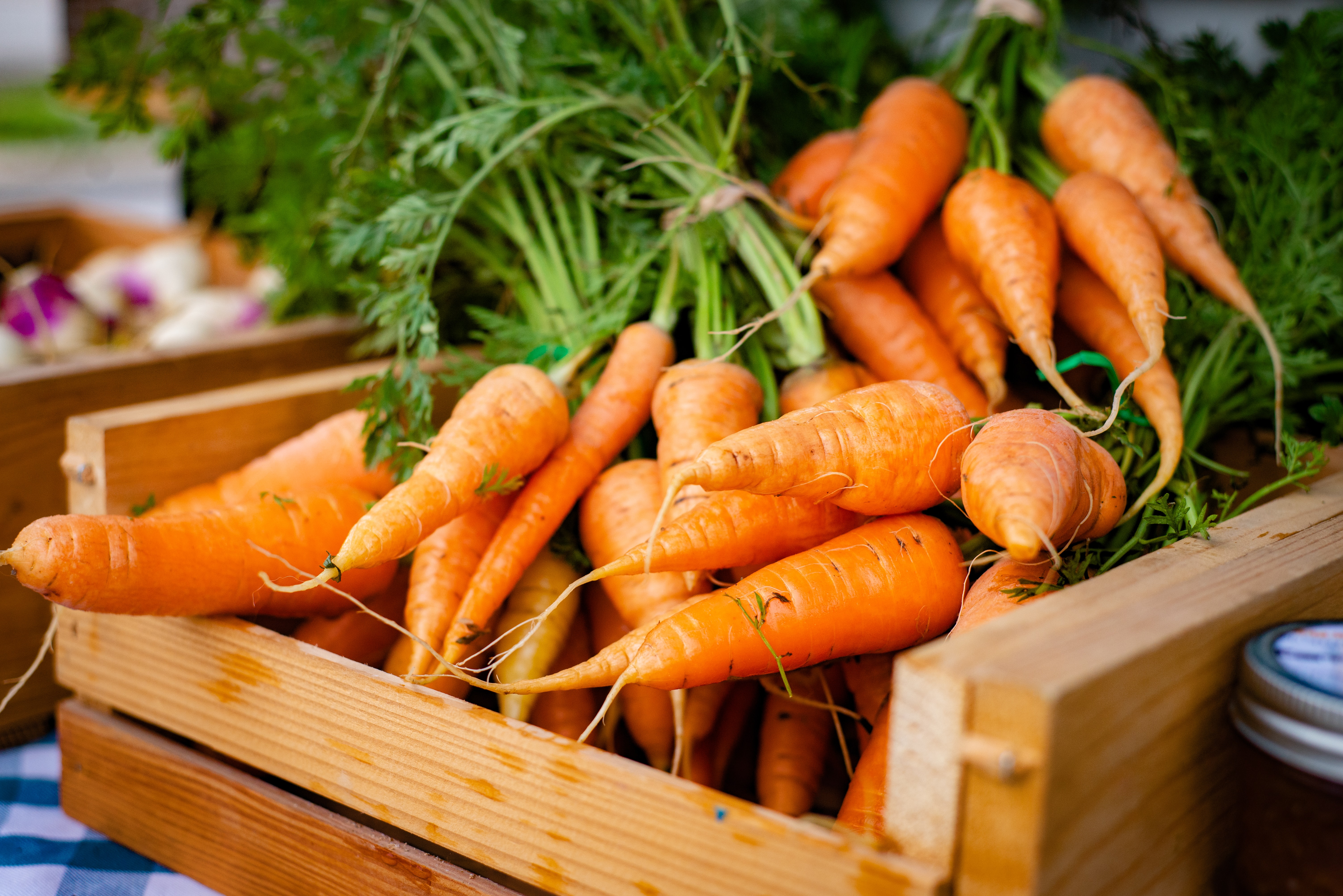Carrots in a wooden crate