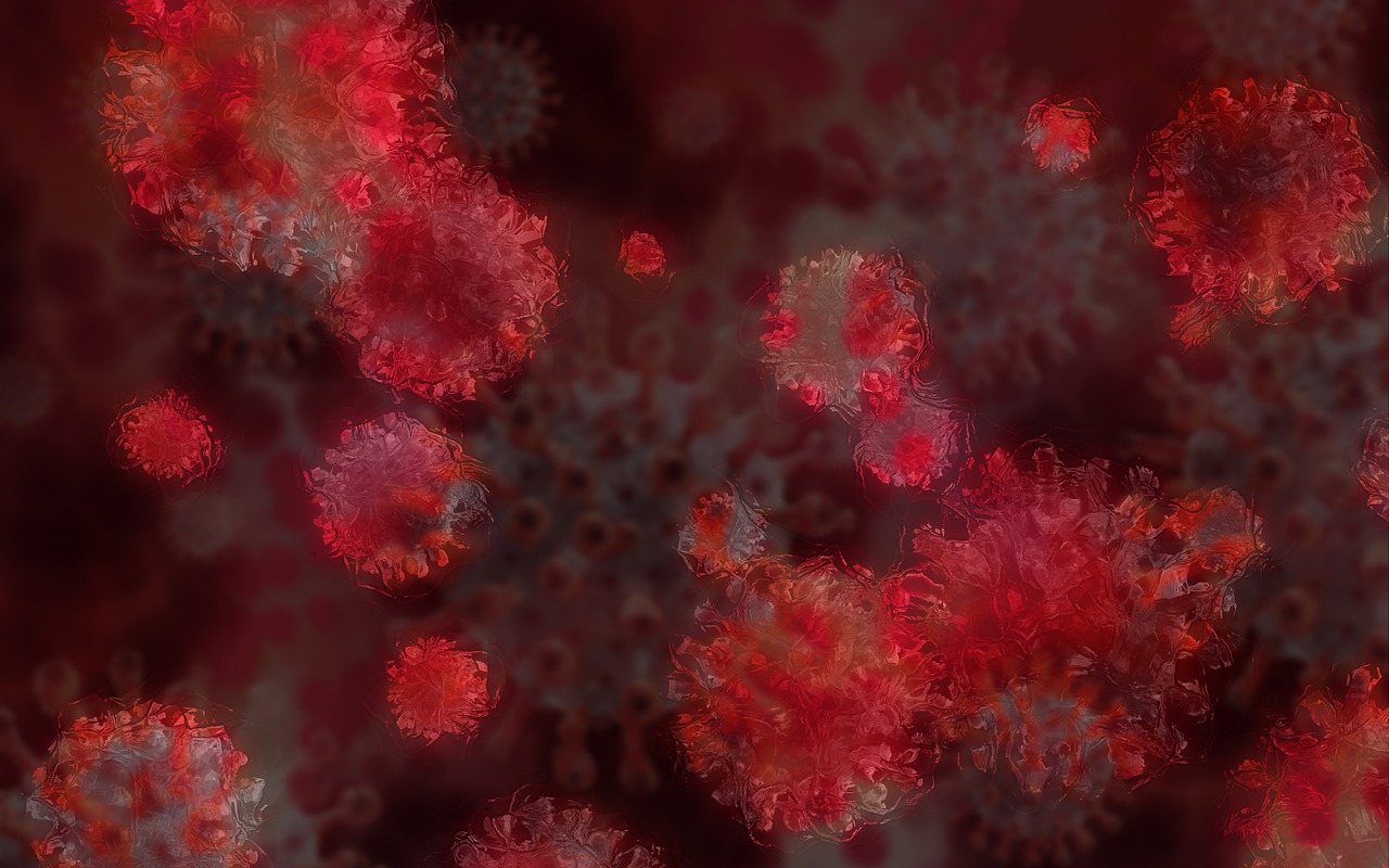 Coronavirus particles.