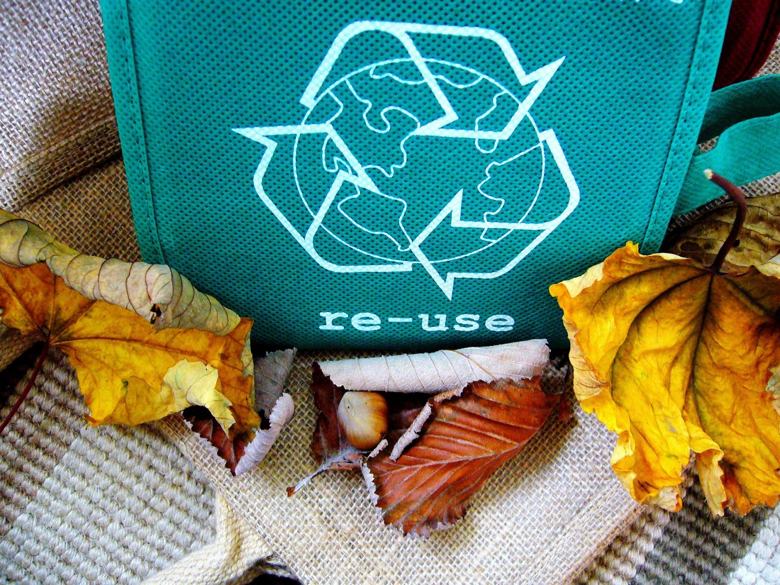 Since resources on the Earth are limited, recycling helps us to reduce the quantities of plastic waste disposal.