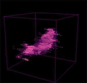 在3D切片器中显示的12CO(紫色)和13CO(粉红色)的恒星形成区域B5。