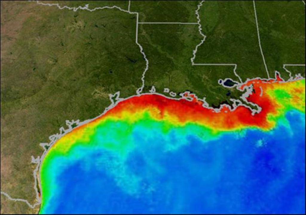 The Dead Zone in the Gulf of Mexico