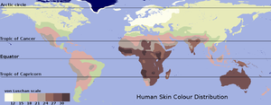 基于Biasutti数据的传统肤色图。