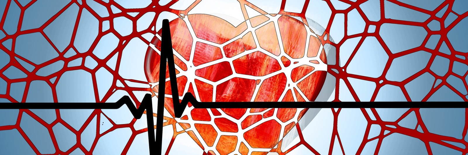 一个卡通的心的网络覆盖blood vessels and an ECG (electrocardiogram)