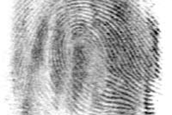 A fingerprint on paper