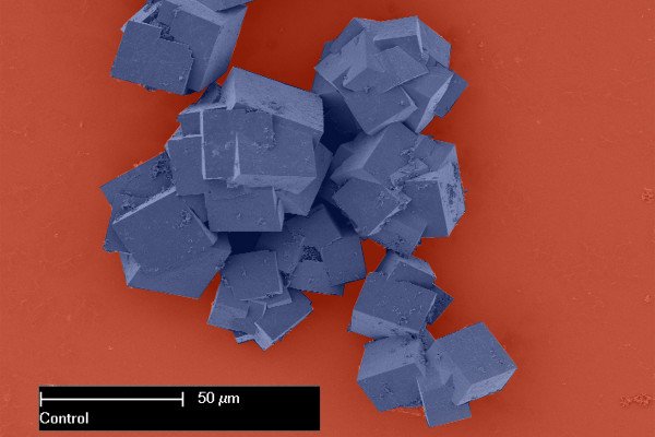 在电子显微镜下看到的金属有机框架是由晶体组成的，它们共同形成了具有广阔表面积的多维结构。(颜色变化)