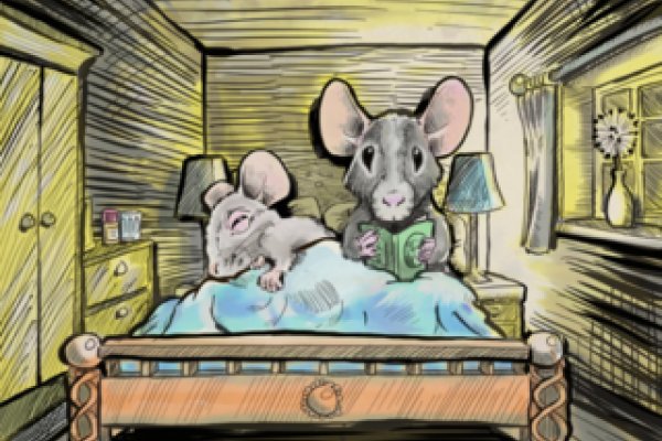 老鼠在床上