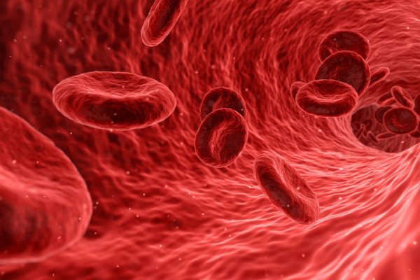 计算机生成的红细胞在血管中移动的图像