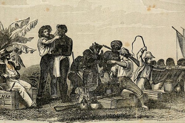 奴隶被检查并装上船的插图。