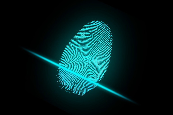 A blue fingerprint on a digital reader.