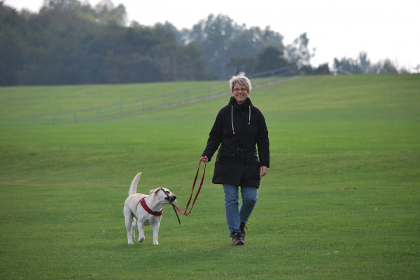 A woman walking a dog on a field