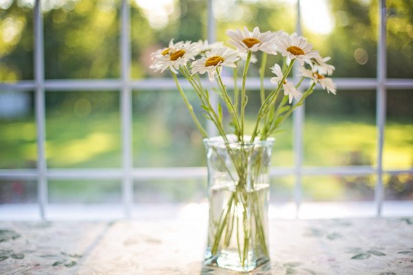 阳光透过窗户照进来，花瓶里插着鲜花