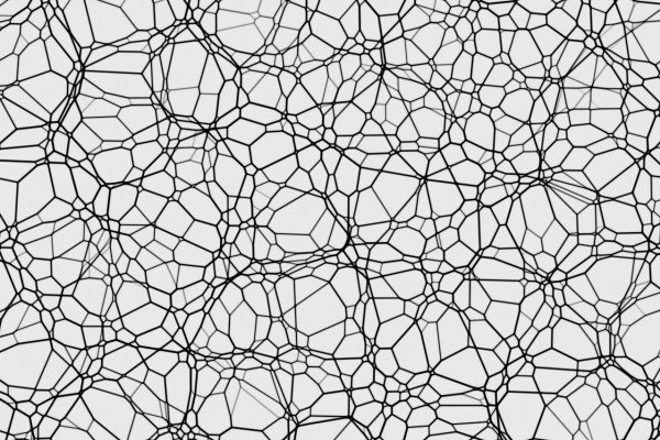 纤维网由相互连接的纤维组成的网络，类似于丝状真菌的菌丝