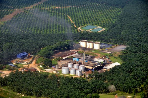马来西亚雪邦的棕榈油厂