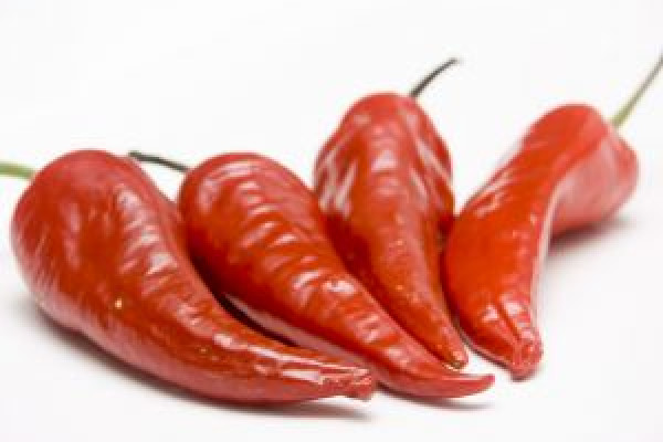 辣椒含有辣椒素，使其具有燃烧的特性。现在科学家们正在研究它是如何工作的。