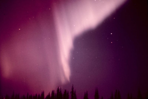 阿拉斯加拍摄的北极光