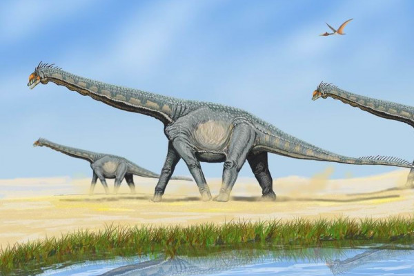 蜥脚类恐龙阿拉莫龙