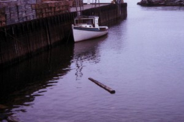 1972年涨潮时的芬迪湾。
