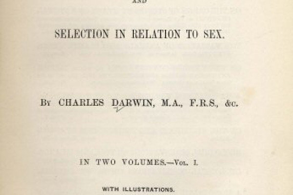 查尔斯·达尔文的《人类的起源》(1871)封面。