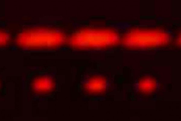 红色激光的二缝(上)和五缝衍射