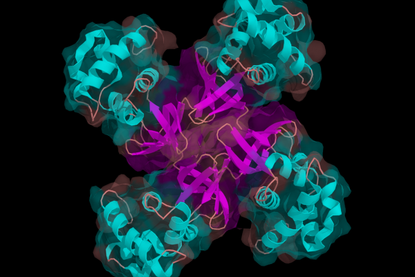 一种细菌，大肠杆菌，在pH值4.9和室温下的DNA解旋酶(Ruva蛋白)。