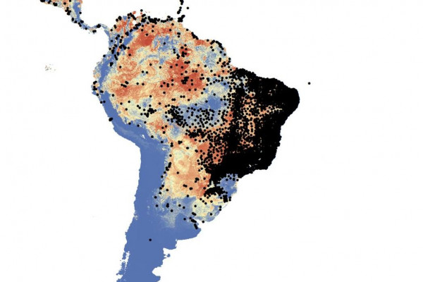 绘制蚊子分布地图:埃及伊蚊和白纹伊蚊目前正在扩大其地理分布，但它们的数量和对人口的总体健康负担也在增加。
