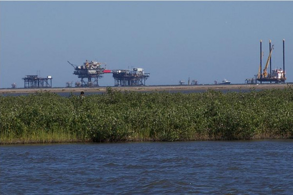 路易斯安那湿地不仅是生命的天堂和新生鱼类的温床，还蕴藏着大量的石油和天然气。