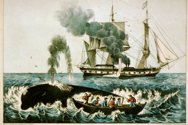 19世纪晚期的捕鲸