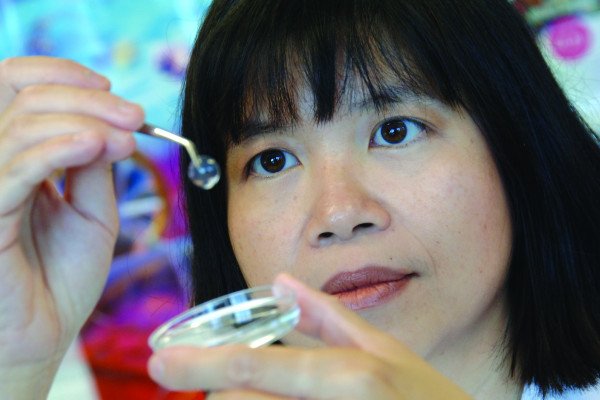 Dr. May Griffith displays a biosynthetic cornea that can be implanted into the eye to repair damage and restore sight.