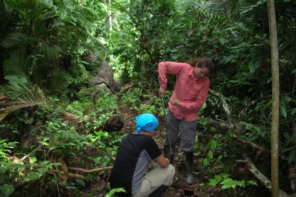 克里斯托·麦克迈克尔和莫妮卡·齐默尔曼为亚马逊地区的土壤核做预兆。