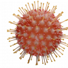 一个artist's interpretation of a coronavirus particle.