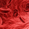 血液涂片，血细胞