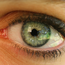 Human eye