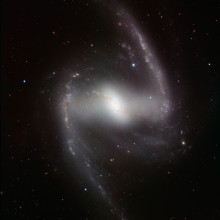 This striking new image, taken with the powerful HAWK-I infrared camera on ESOs Very Large Telescope at Paranal Observatory in Chile, shows NGC 1365. This beautiful barred spiral galaxy is part of the Fornax cluster of galaxies, and lies about 60...