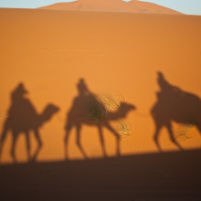 Camels crossing the desert